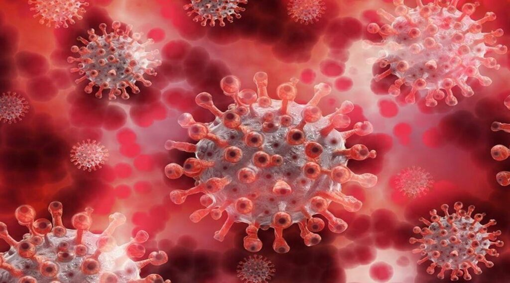 Common cold T cells may offer protection against Covid-19: UK study