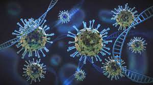 Scientists employ AI to predict which viruses could infect humans in future